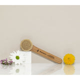 Province Apothecary Daily Glow Facial Dry Brush