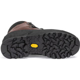 Hanwag Alaska 100 GTX Men's Shoe | Century/Black