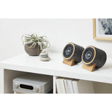 Well Rounded Sound Jack Terrier 2 Speaker Set | Oak/Dark Gray JT2 O/DG