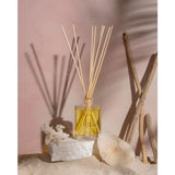 Brooklyn Candle Studio Reed Diffuser | Maui