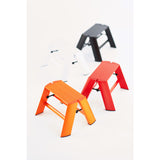Hasegawa Lucano Step Stool Ladder