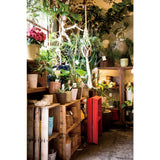 Hasegawa Lucano Step Stool Ladder