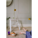 Hasegawa Lucano Step Stool Ladder