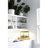 Modern Sprout Smart Growhouse