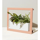Modern Sprout GrowFrame