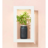 Modern Sprout Portrait GrowFrame