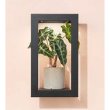 Modern Sprout Portrait GrowFrame