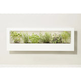 Modern Sprout Landscape GrowFrame