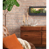 Modern Sprout Landscape GrowFrame