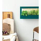 Modern Sprout Landscape GrowFrame