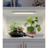 Modern Sprout Smart Metal Growbar