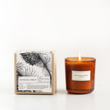 Brooklyn Candle Studio Amber Glass Candle | Montana Forest