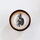 Brooklyn Candle Studio Amber Glass Candle | Montana Forest