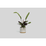 Norden Goods Planter | White Speckle