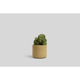 Norden Goods Planter | Raw Speckle