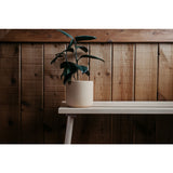 Norden Goods Planter | Raw Speckle