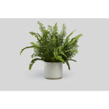 Norden Goods Planter | White/Raw