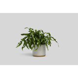 Norden Goods Planter | White Speckle