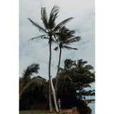 Oru Coast XT Folding Kayak | Orange/White