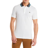 Lacoste Men's Polo | Flour
