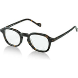 Northern Lights Polaris Sunglasses