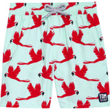 Tom & Teddy Boy's Parrots Swim Trunk | Light Blue & Pink / 9-10
