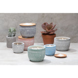 Paddywax Sonora Candle | Bergamot + Fresh Fig