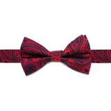 Cufflinks Star Wars Darth Vader Paisley Big Boys' Silk Bow Tie | Red SW-DVPS-KBT-BB