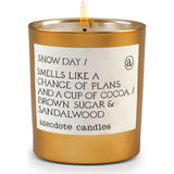 Anecdote Candles Holiday Collection Tumbler Candle