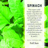 Urban Agriculture Organic Vegetable Grow Kit |Spinach 30308