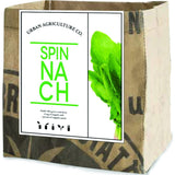 Urban Agriculture Organic Vegetable Grow Kit |Spinach 30308