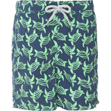 Tom & Teddy Turtle Swim Trunk | Navy & Green Size 5-6