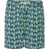 Tom & Teddy Turtle Swim Trunk | Navy & Green Size L