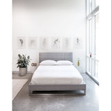 Gus* Modern Acrylic Timber Table | Transparent ECCTTIMB-ca