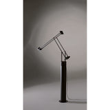 Artemide Tizio Floor Lamp | Black