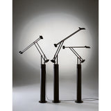 Artemide Tizio Floor Lamp | Black