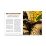 Dovetail Press | Brew: Better Coffee at Home