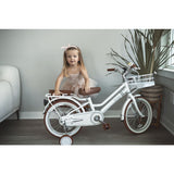 iimo 18" Kids Bike With Front Basket & Messenger Bag