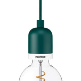 Pantone Deneb Mini Drop Cap Pendant Light | Forest Biome 4320013006