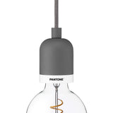 Pantone Deneb Mini Drop Cap Pendant Light | Pewter 4320013003