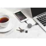 Native Union Key Cable | Zebra