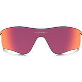 Oakley Radarlock Path Accessory Lenses | Prizm Field 101-118-004