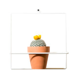 NewMade LA Square Wall Planter