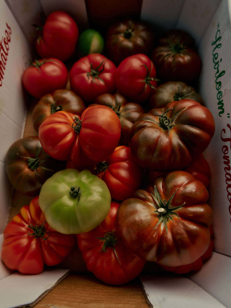 Flamingo Estate Roma Heirloom Tomato Candle