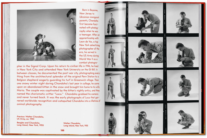 Walter Chandoha. Dogs. Photographs 1941–1991 (English)