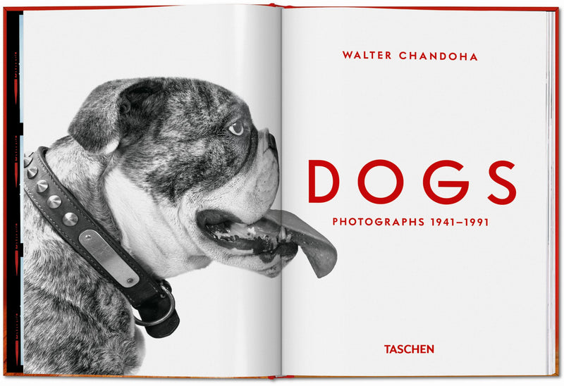 Walter Chandoha. Dogs. Photographs 1941–1991 (English)