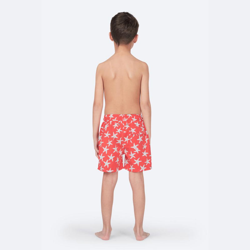 Rose & Blue Starfish