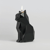 PyroPet Kisa Cat Candle - Black by 54Celsius