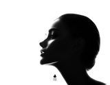 Le Visage