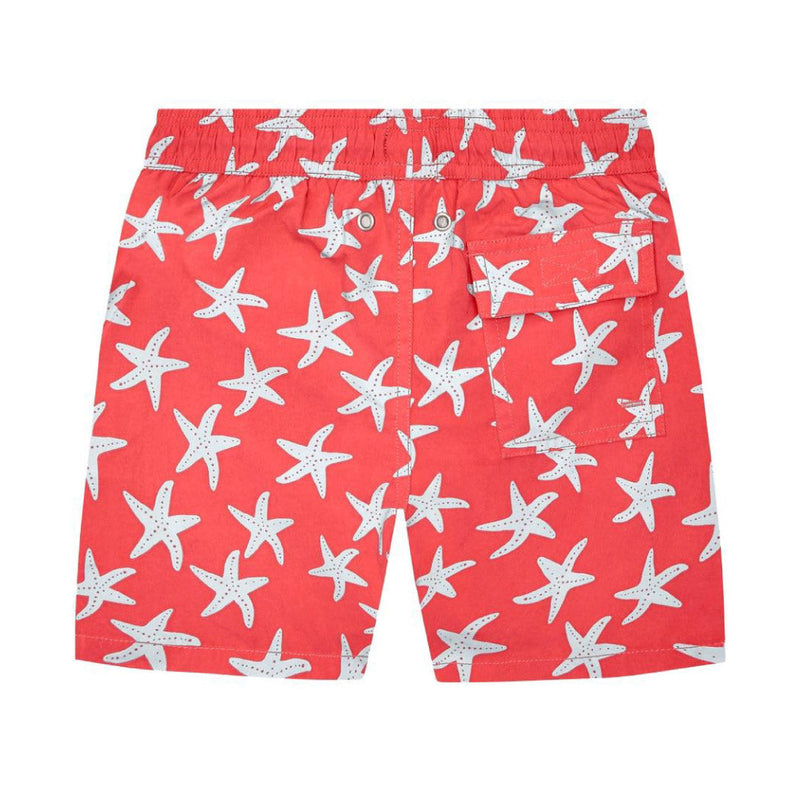 Rose & Blue Starfish